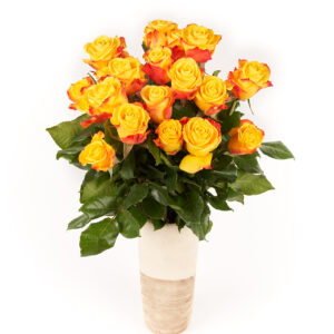 Rose gelb/orange - lang